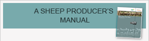 A Sheep Producer's Manual