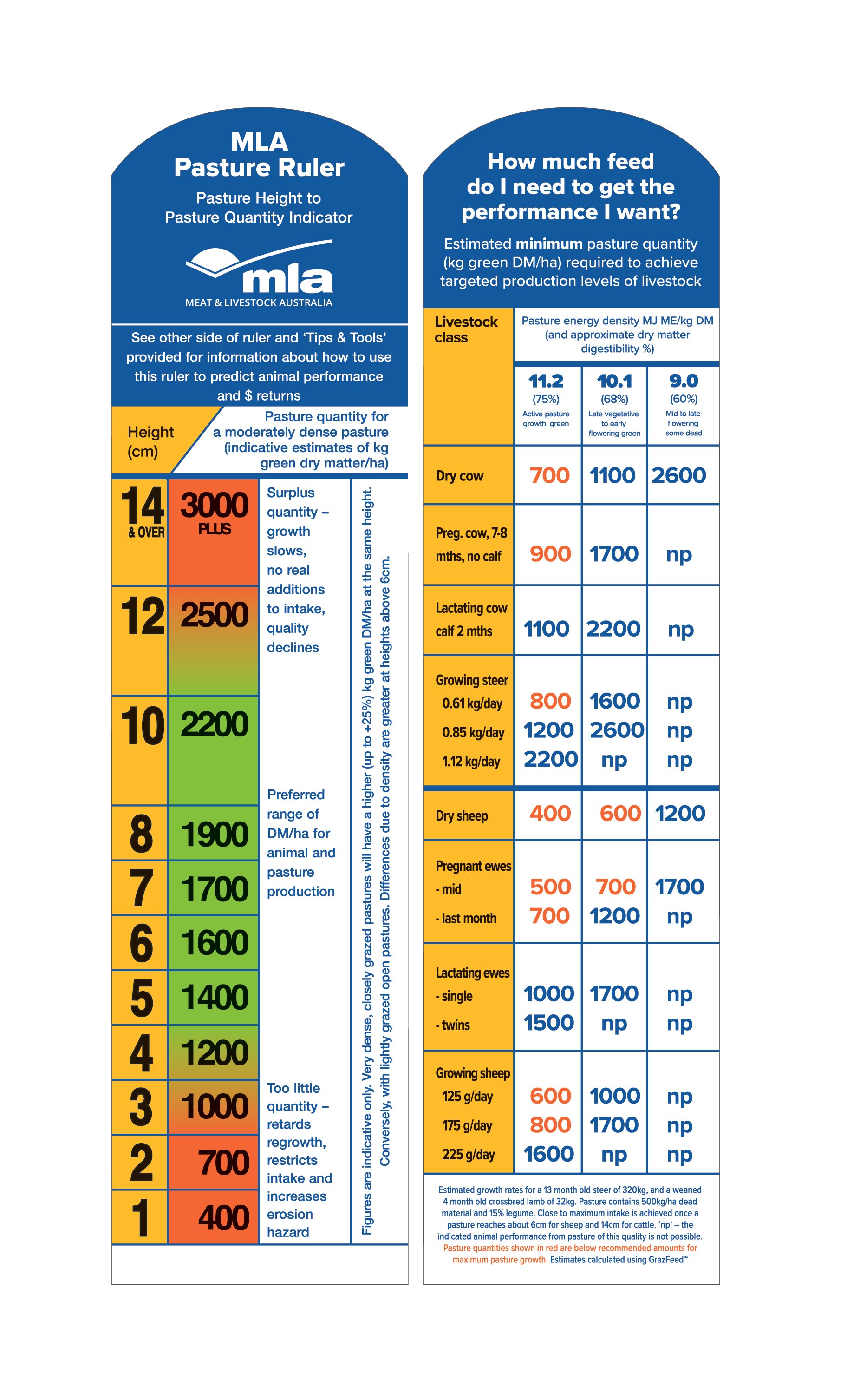 mmfs-pasture-ruler.jpg
