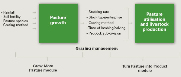 Pasture production and grazing management in context