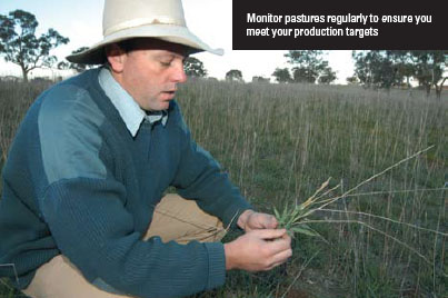 Monitor pastures regularly to ensure you meet your production targets